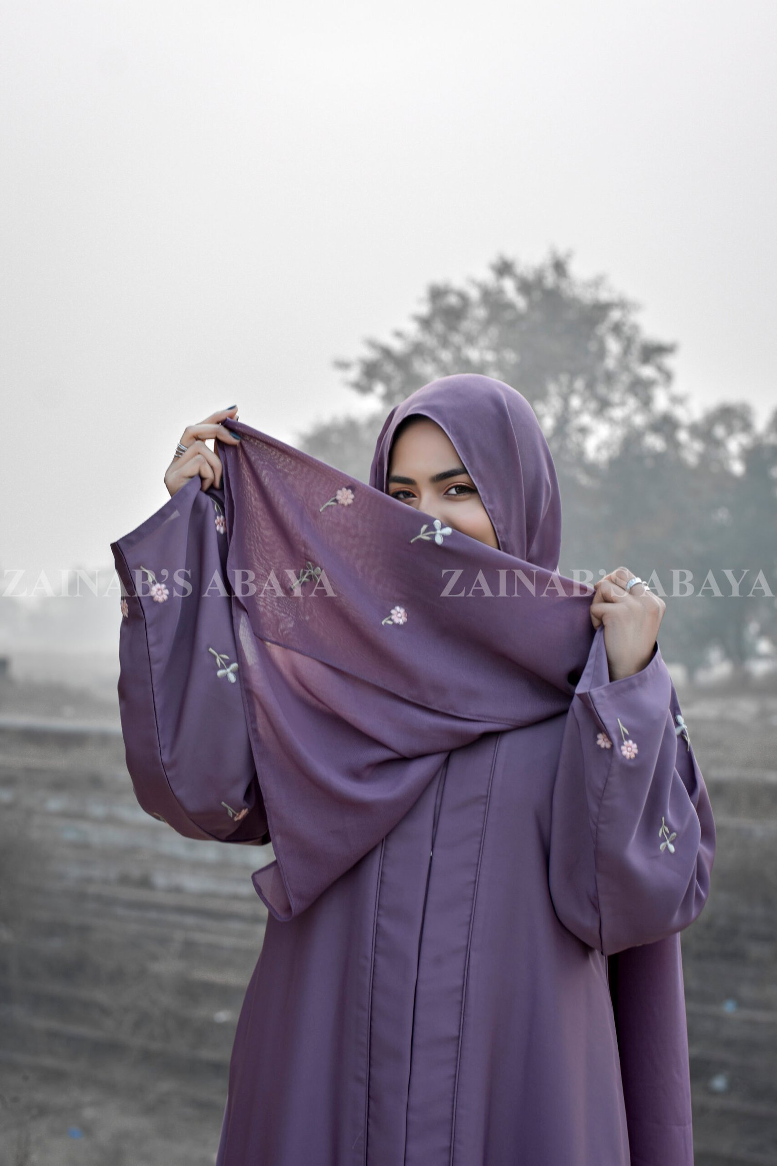 Nida Front Open Abaya with Embroidery on Sleeves and Motives on Stallers